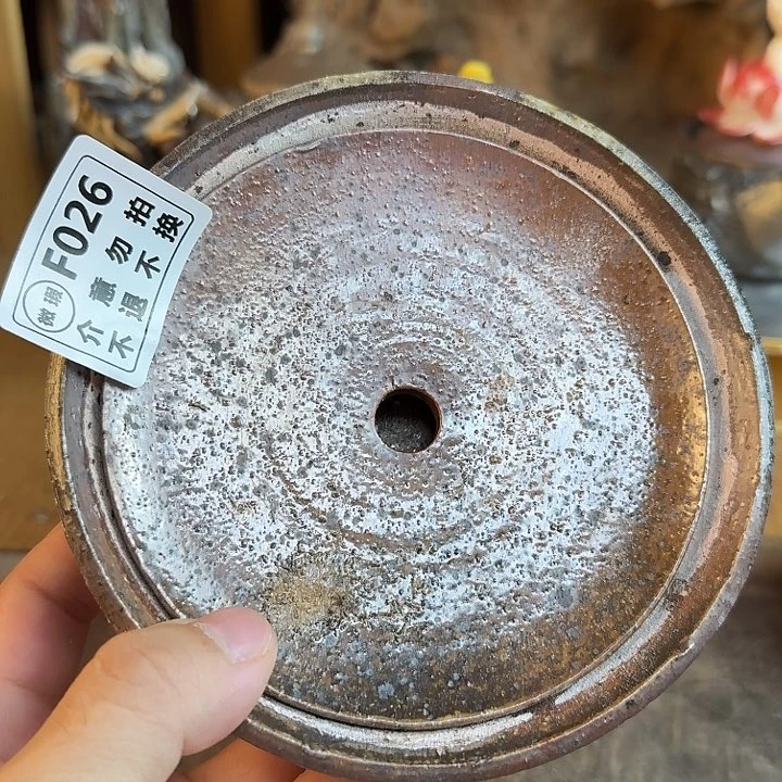 瓶柴烧福利新品多多