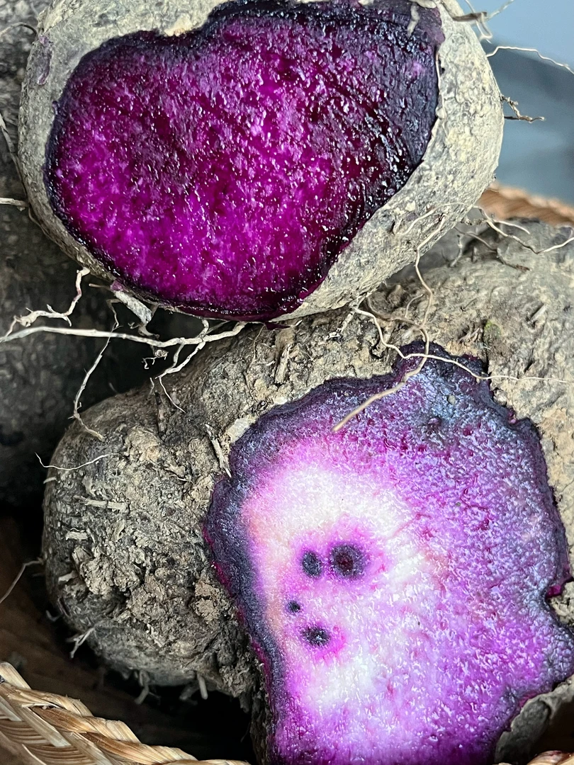 云南老品种脚板薯紫山药软糯香甜