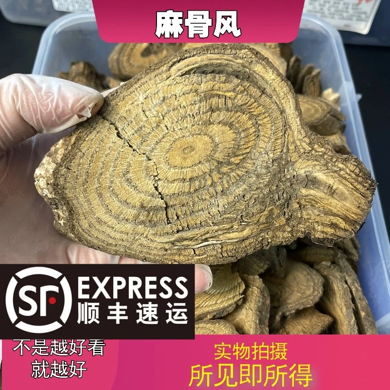麻骨风成都中药材批发别名：买麻藤麻骨风买子藤驳骨藤