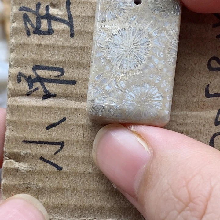 颈饰未镶嵌硅化珊瑚（珊瑚玉）森**烛