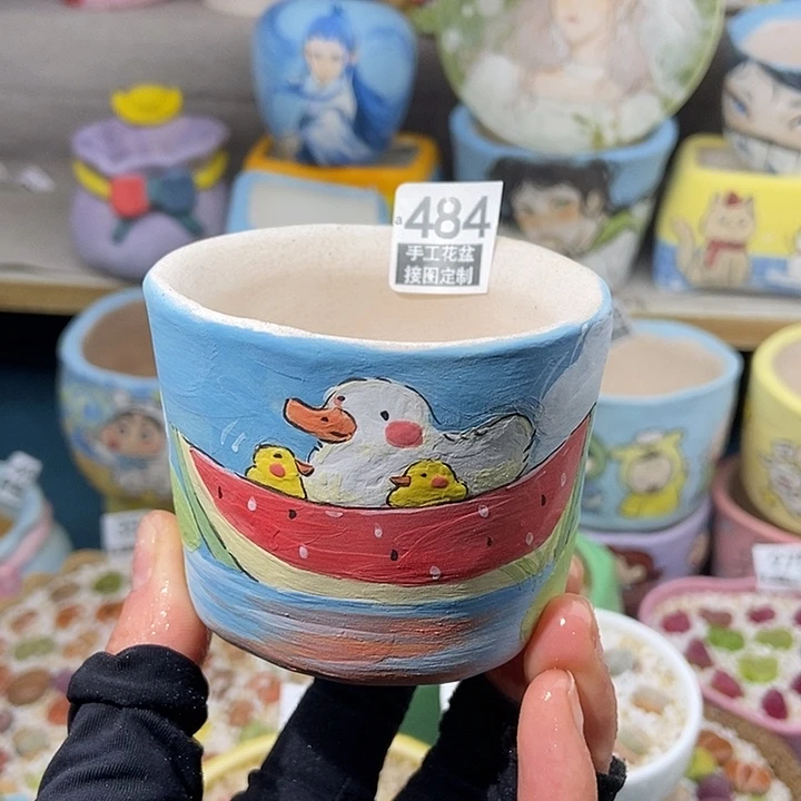 大舅生石花肉锥多肉484