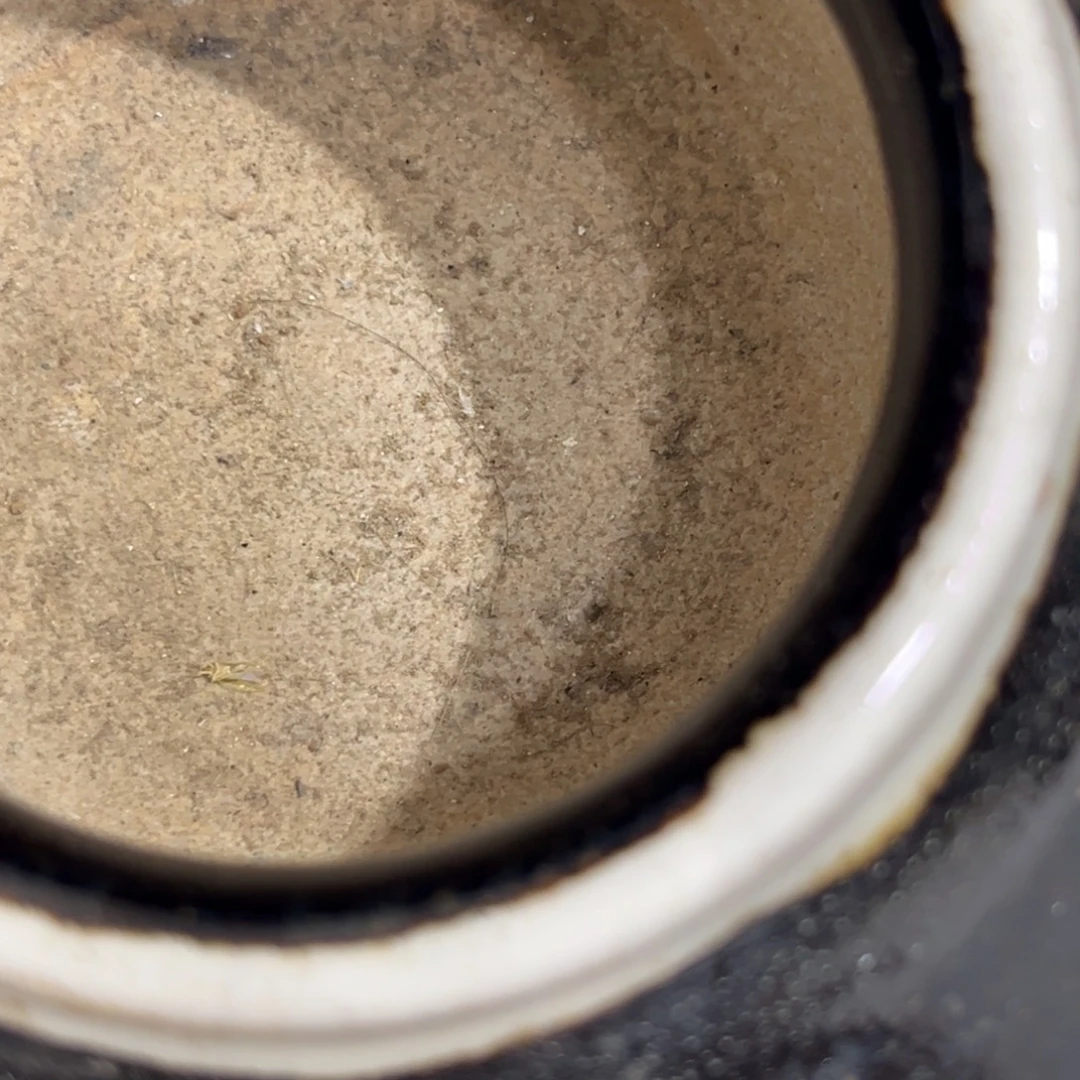 曹***鱼摆件这个世界上最好的朋友