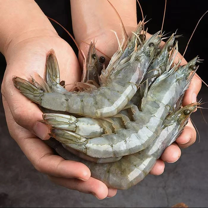 【海水大虾4斤】肉质鲜甜脆嫩 大个头海水大虾 单只15-18cm一盒4斤50-60只 多仓发货顺丰次日达海虾