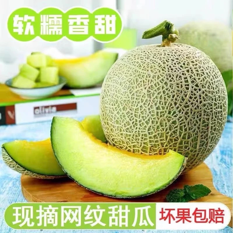 现摘新鲜网纹蜜瓜新鲜水果梅陇瓜冰淇淋甜瓜（大小随机发)