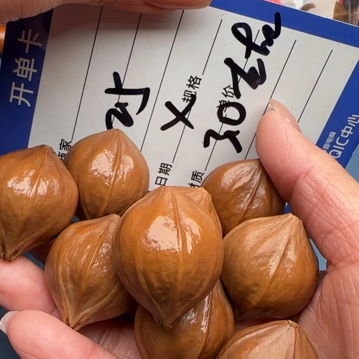 手串橄榄核橄榄核