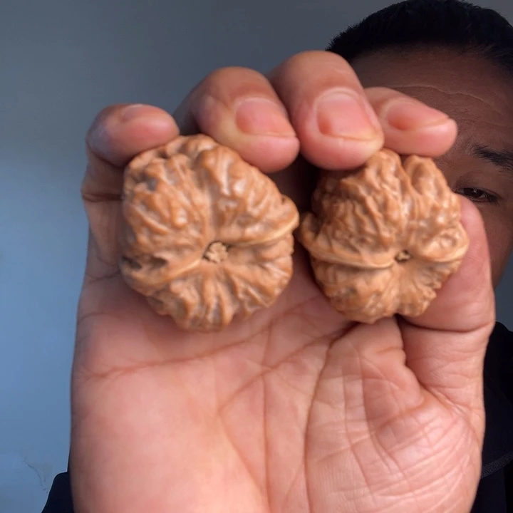 问***羽大叶紫檀（黑酸枝木类）