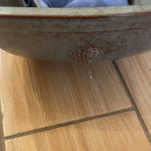 薛***浩有机玻璃摆件摆件摆件摆件摆件不