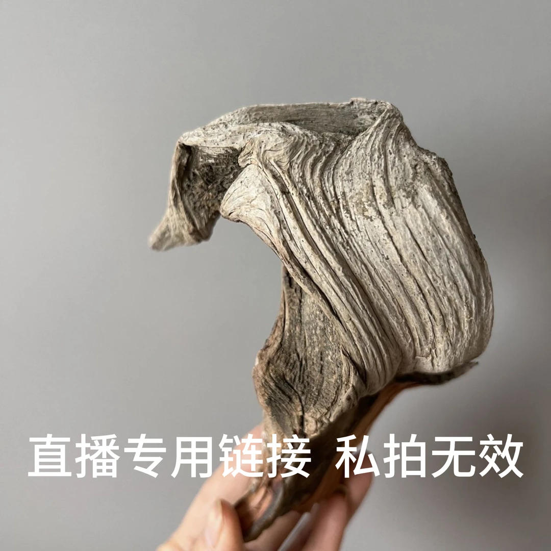 太行崖柏2号链接陶瓷中式太行山崖柏创意工艺品摆设复古木雕树桩