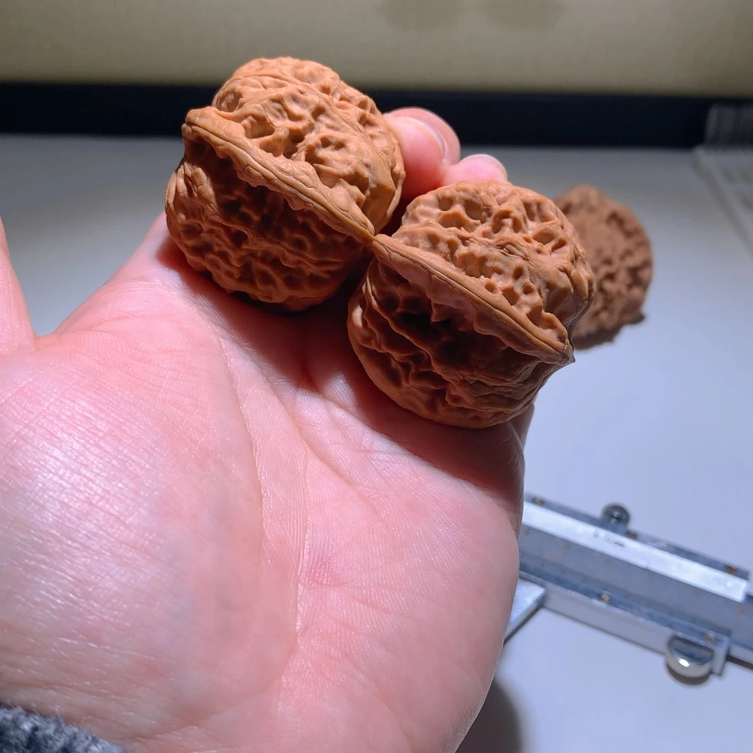 把件文玩核桃野狼39.5尺