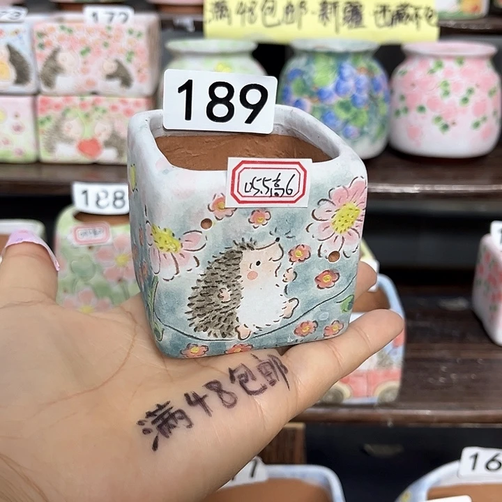 手工制作多肉花盆