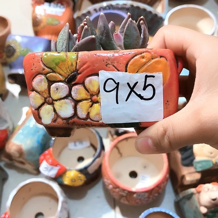 多肉花盆满15包邮