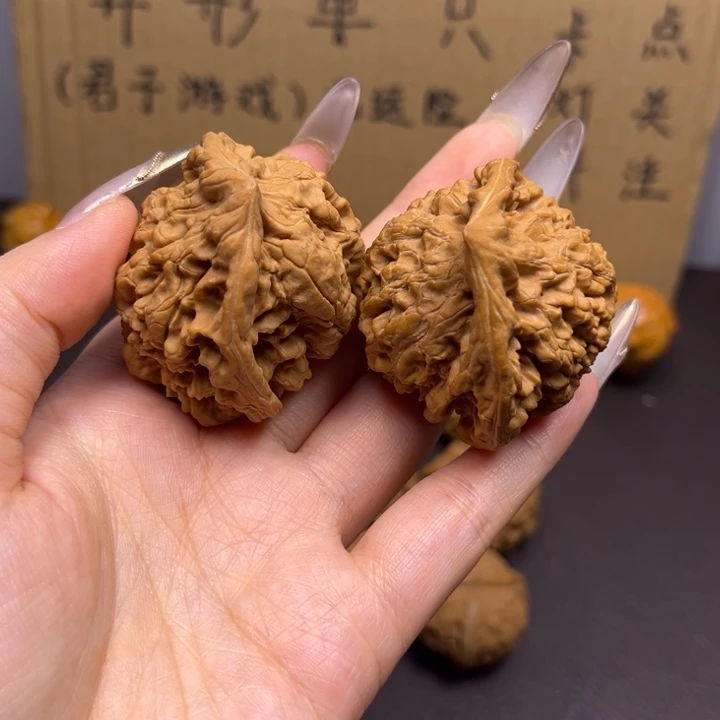 齐***齐菩提籽类蛇单只异型有瑕
