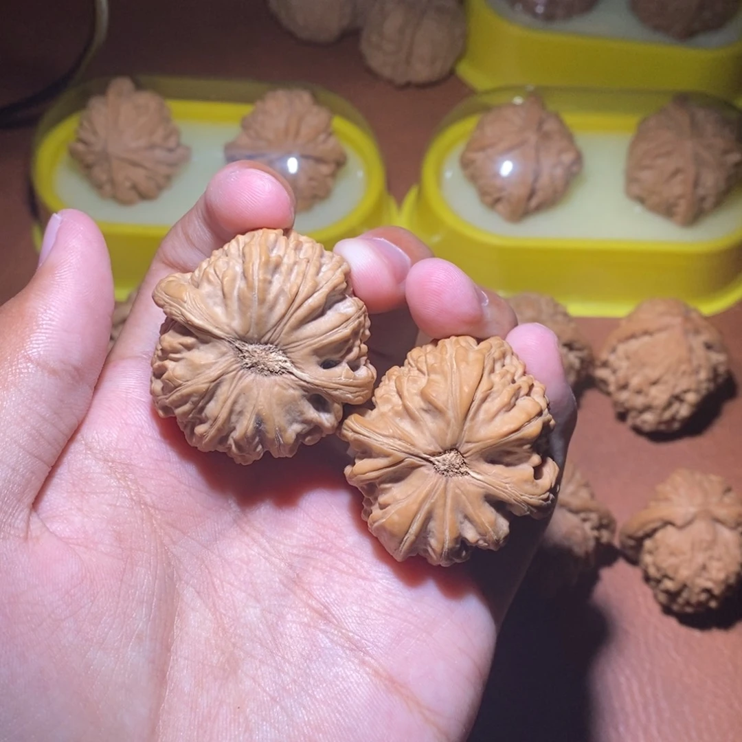 文玩核桃福利白狮子39