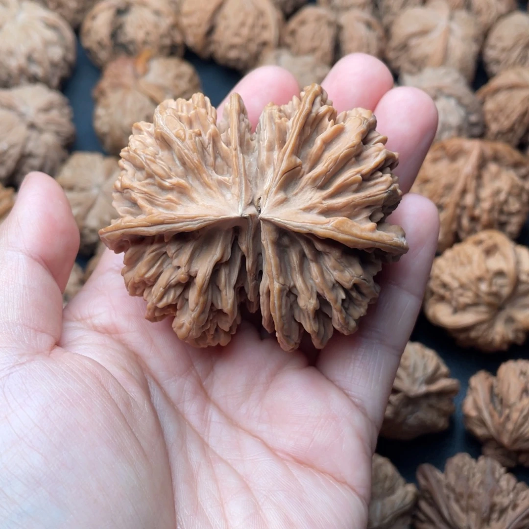 把件文玩核桃62帝王连体