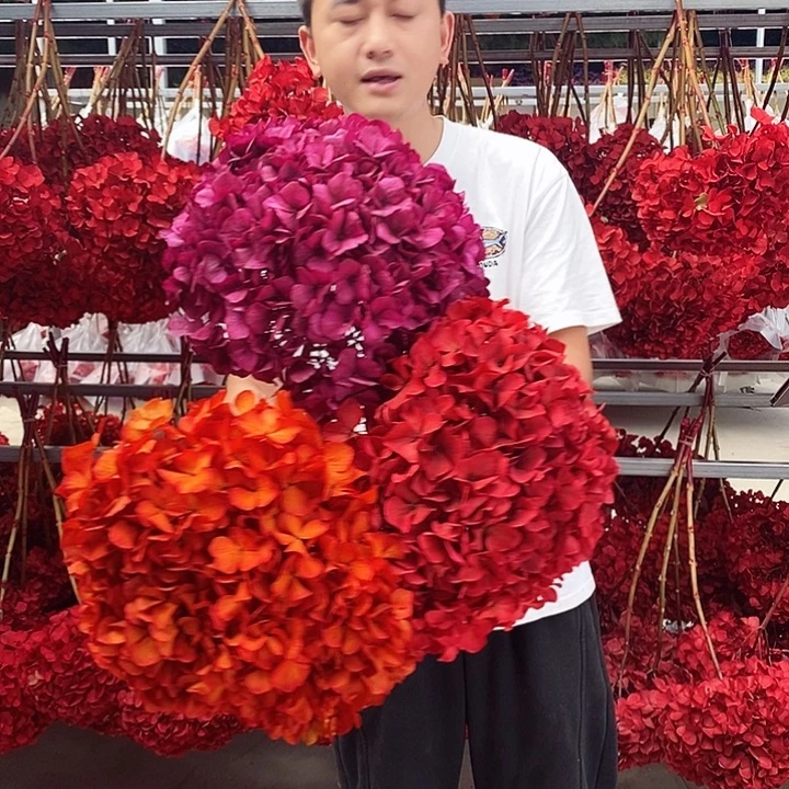 大叶绣球永生花混搭3支03