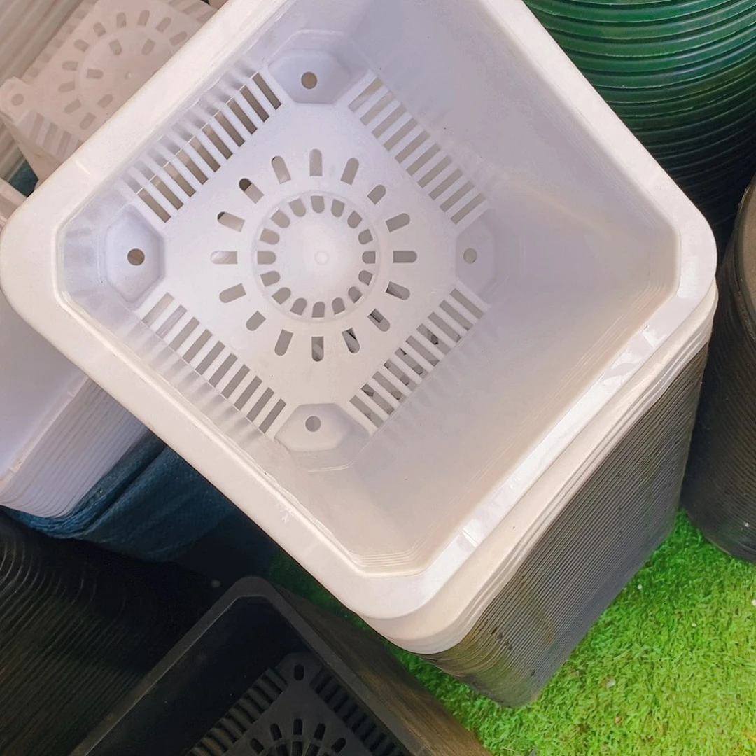 塑料新22公分白方盆5个