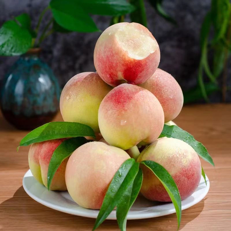现摘桃子新鲜脆桃水蜜桃应季整箱孕妇高山桃脆甜桃子