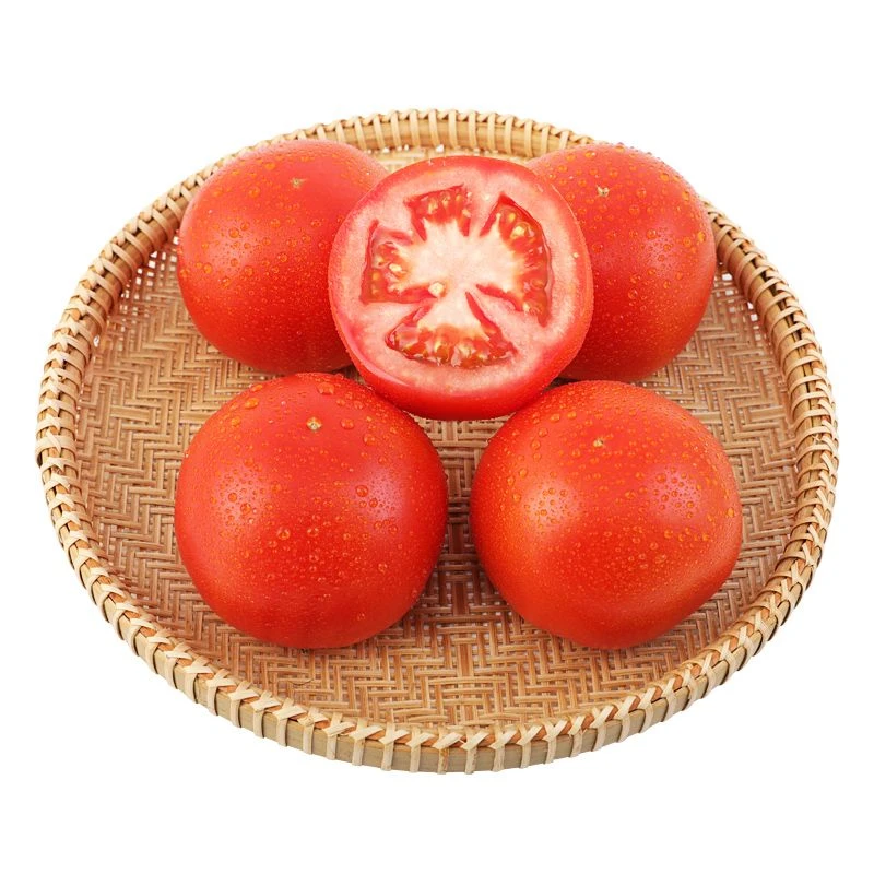 【弘茂农场】熊蜂授粉自然熟老味西红柿4斤（中小果）下单多给一斤天津市