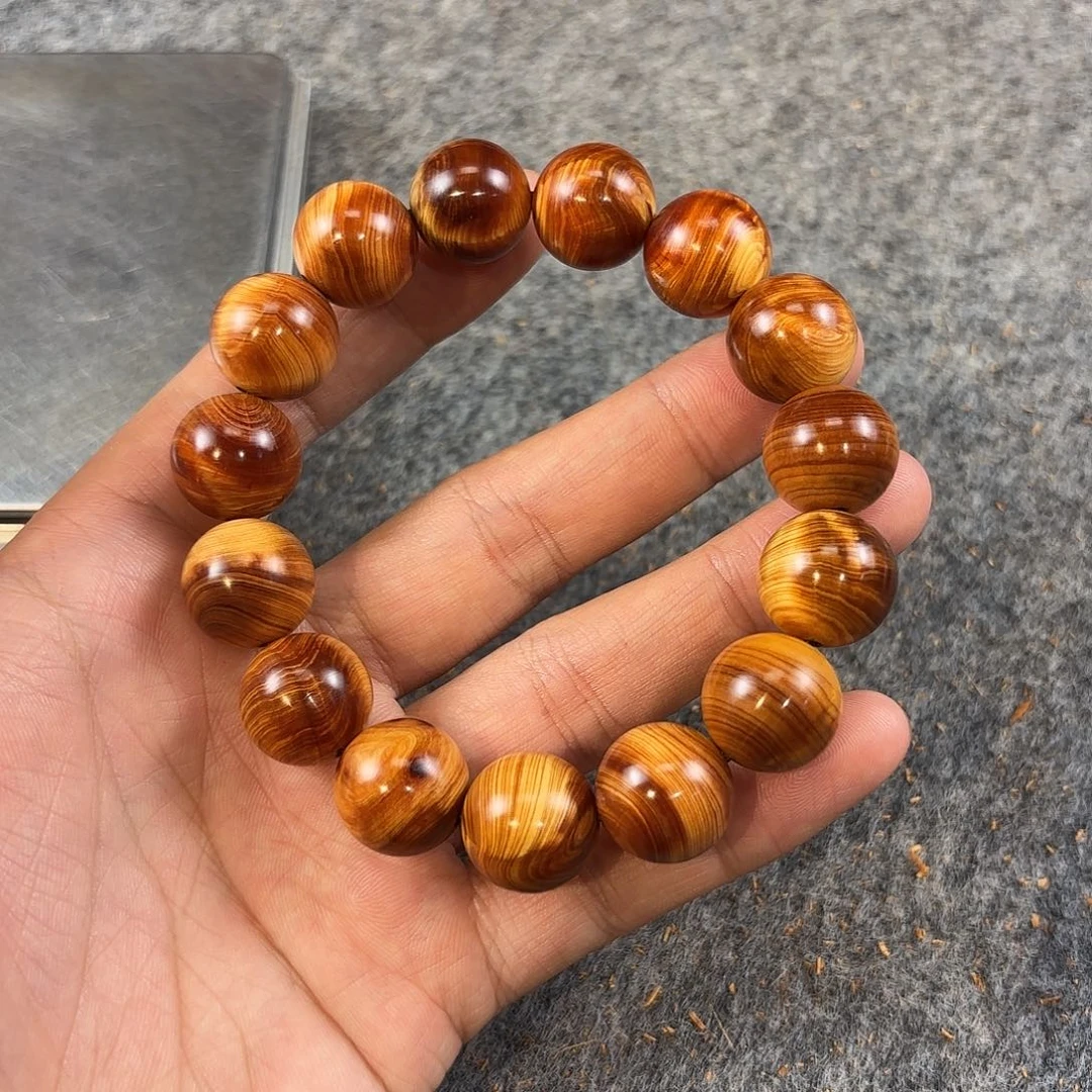 崖柏太行崖柏闪电龙胆1.5