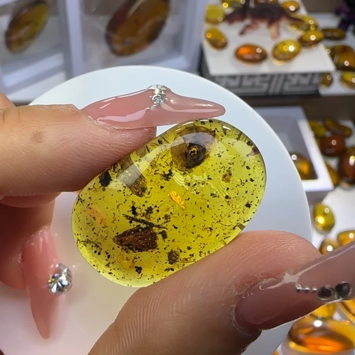 琥珀未镶嵌裸石虫珀标本