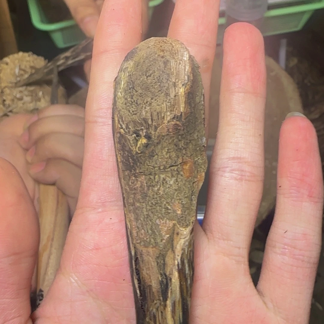 沉香香霸精品树丁发一份