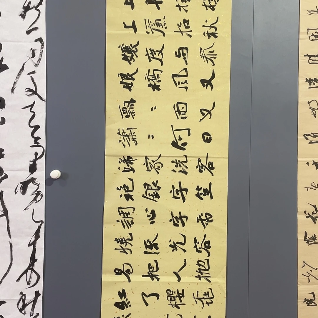 书法中书协会员作品