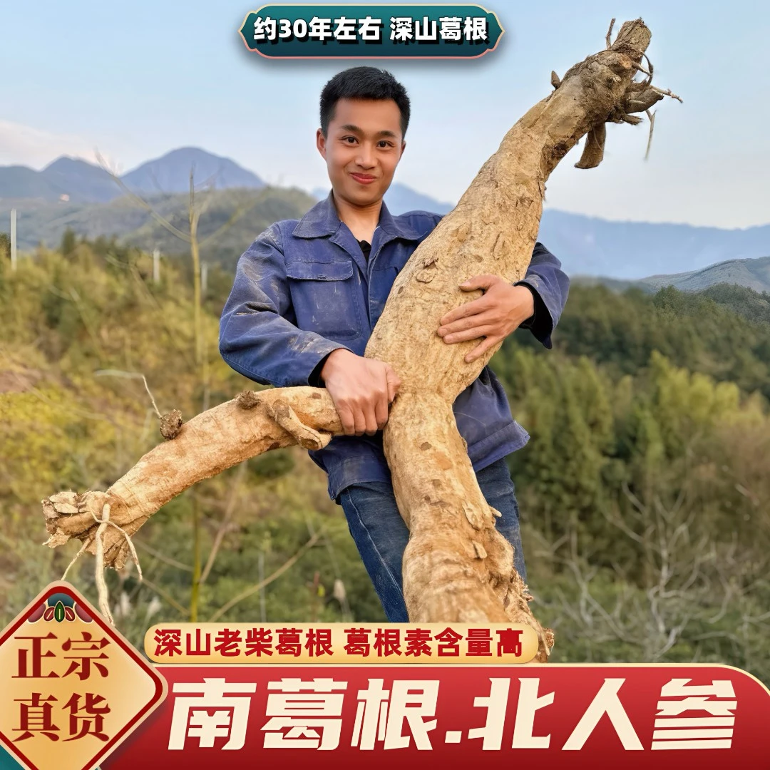 【正宗柴葛根粉】甄选深山老柴葛传统古法制作纯正葛粉营养美味