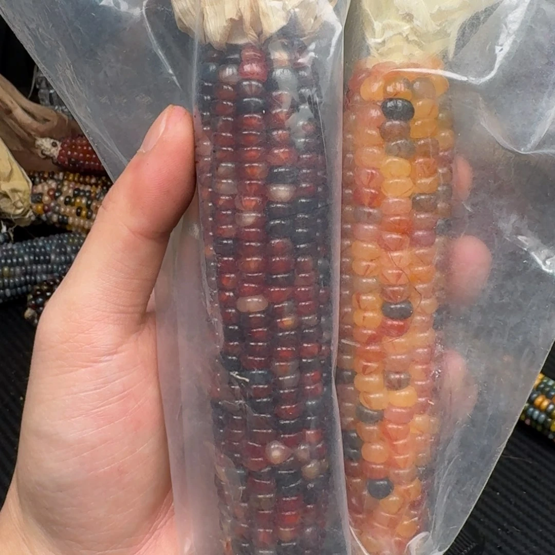 柏香籽/百香籽吊坠?***面