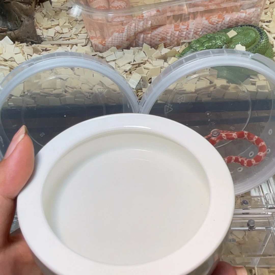 三醋酯纤维我在你心里就是最美