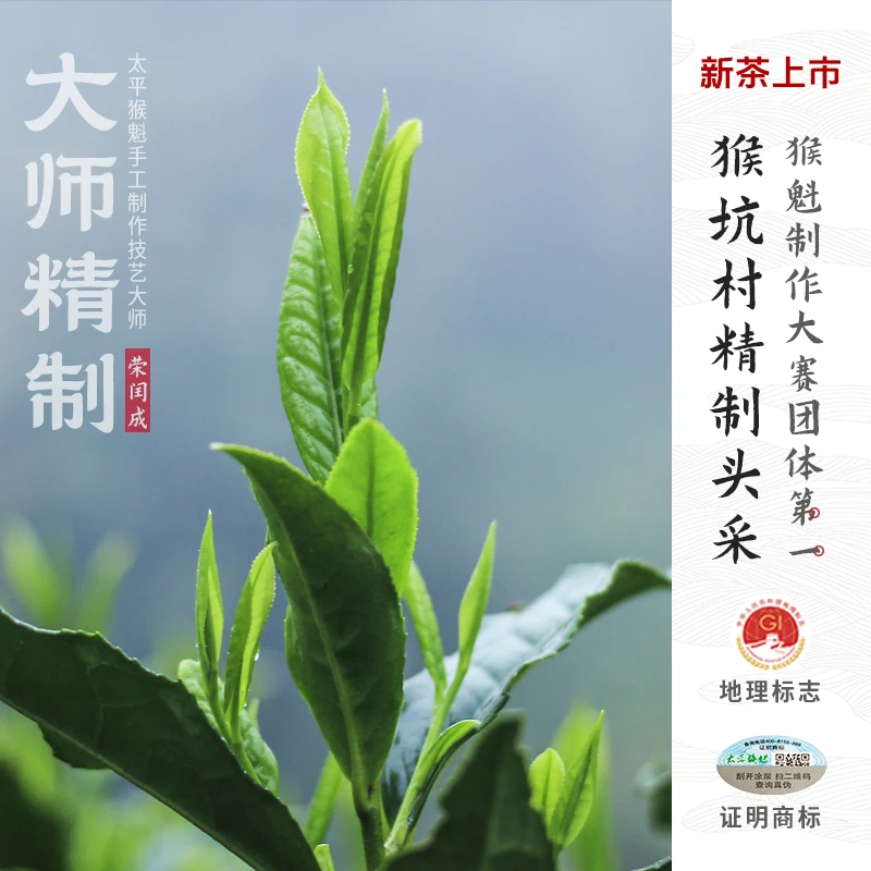 2025年新茶太平猴魁猴坑村精制开园头采猴魁大师精制绿茶兰花香
