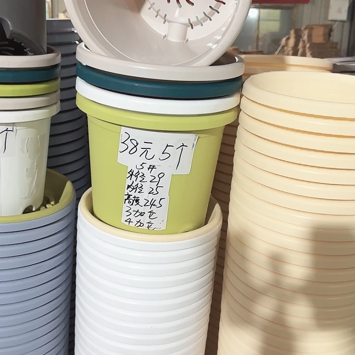 微瑕5#口径29无托果绿5个