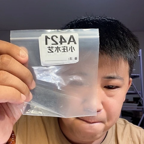 【闪购商品】石英石铁合金421