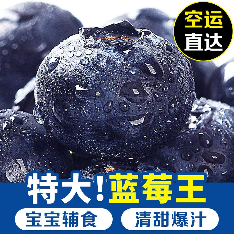 15-25mm【顺丰包邮】云南花香蓝莓新鲜采摘酸甜可口果园现摘现发