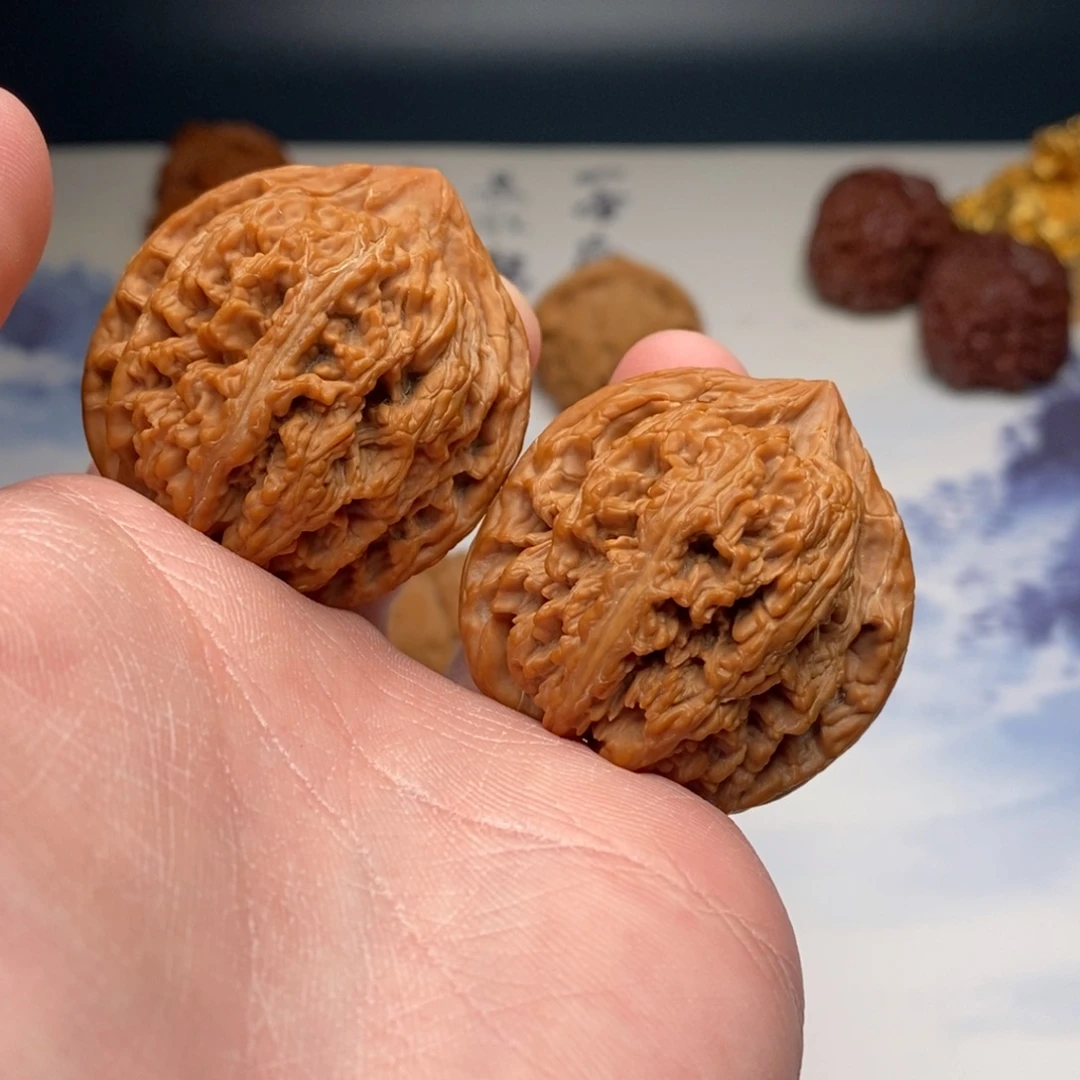 文玩核桃把件40.5九龙筋