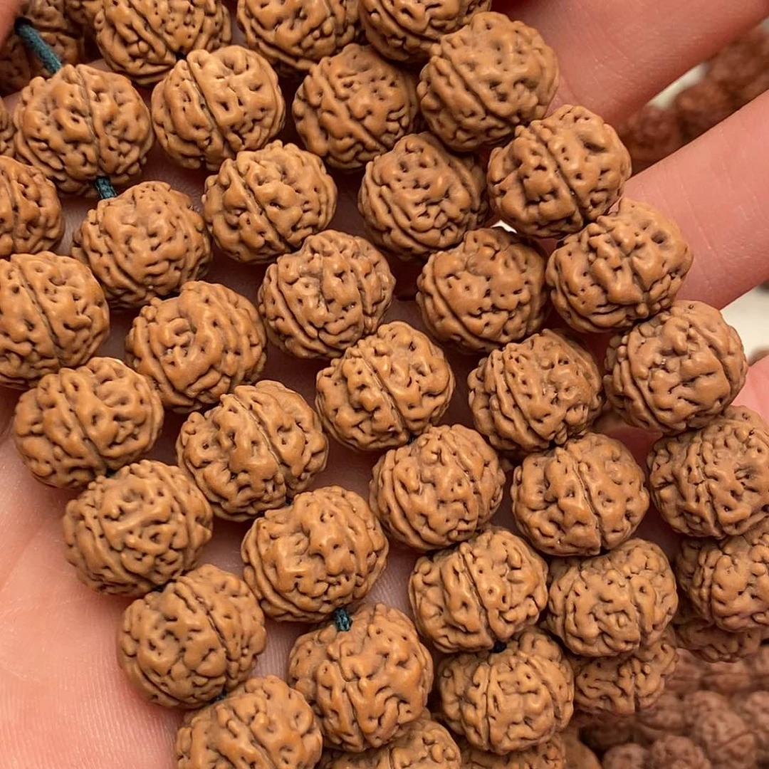 手串金刚菩提炽*纯血