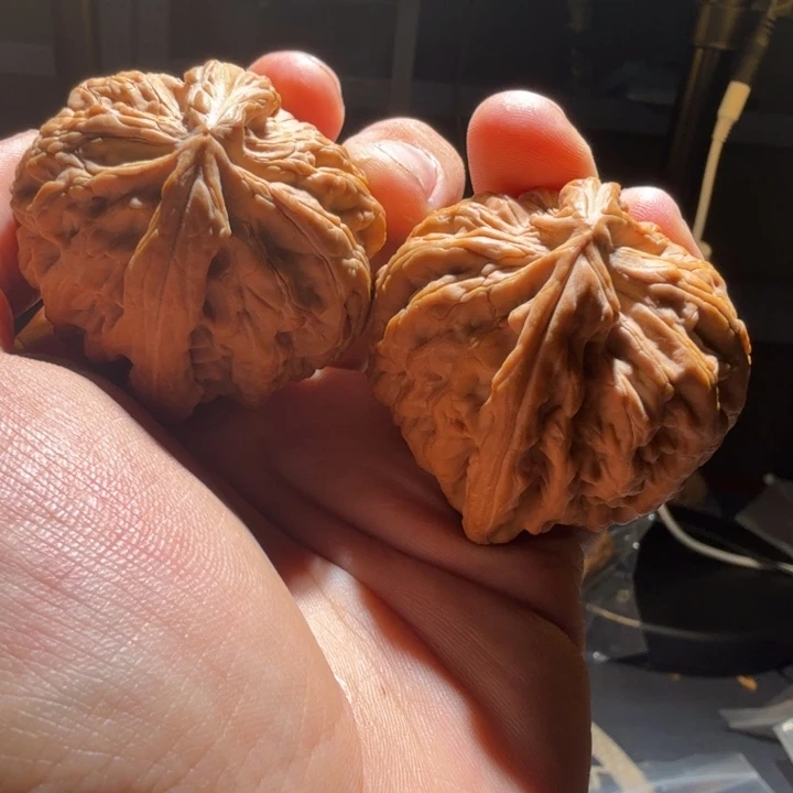 布***王把件猴头核桃红锦鲤