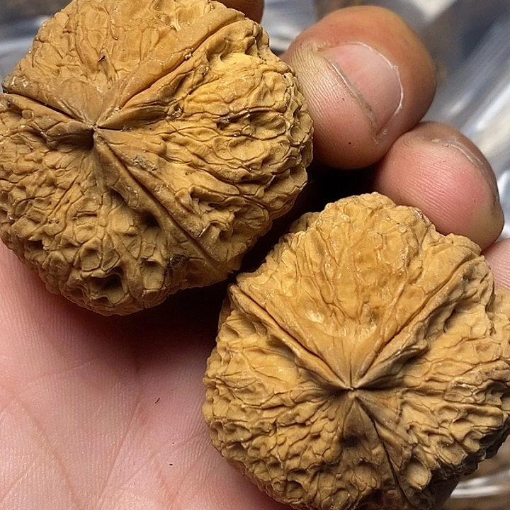 文玩核桃把件云南铁核桃B8