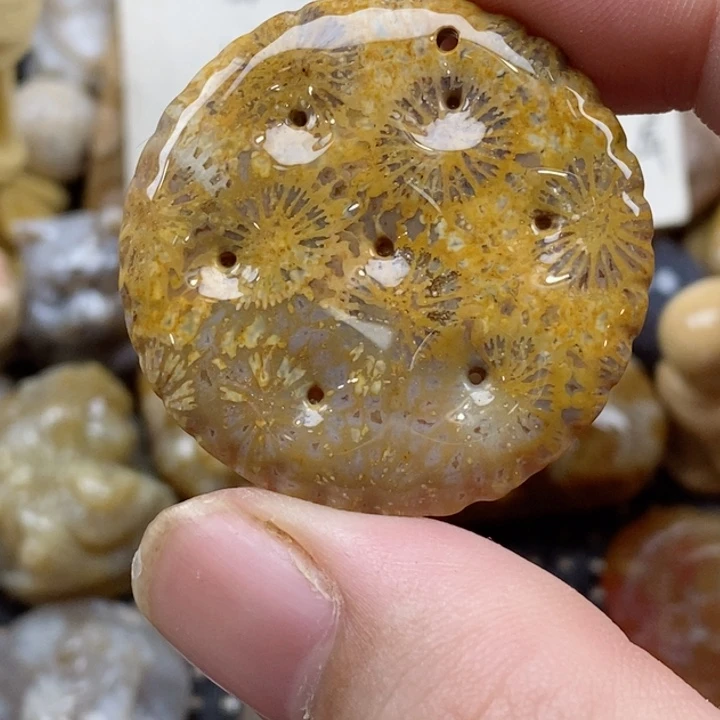 颈饰未镶嵌硅化珊瑚（珊瑚玉）有瑕 小