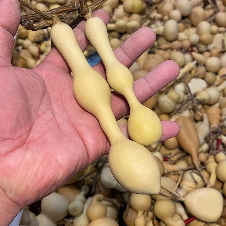 呵***啊精品葫芦手把葫芦40