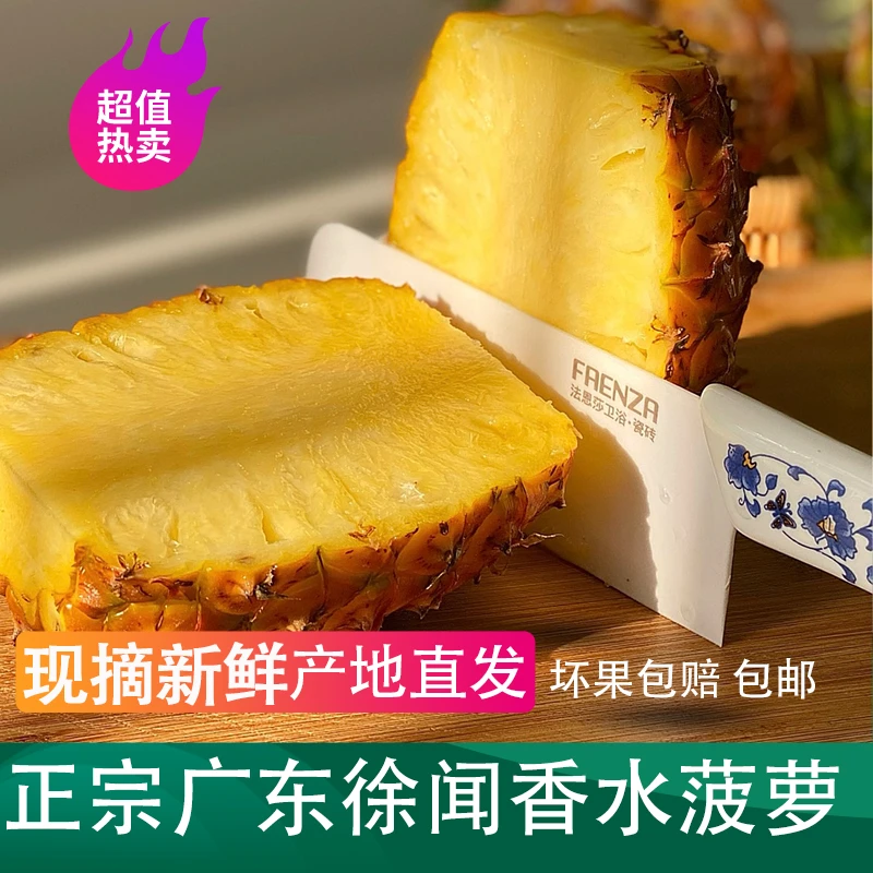 【湛江徐闻特产】正宗徐闻香水菠萝应季新鲜水果现摘现发包甜包邮