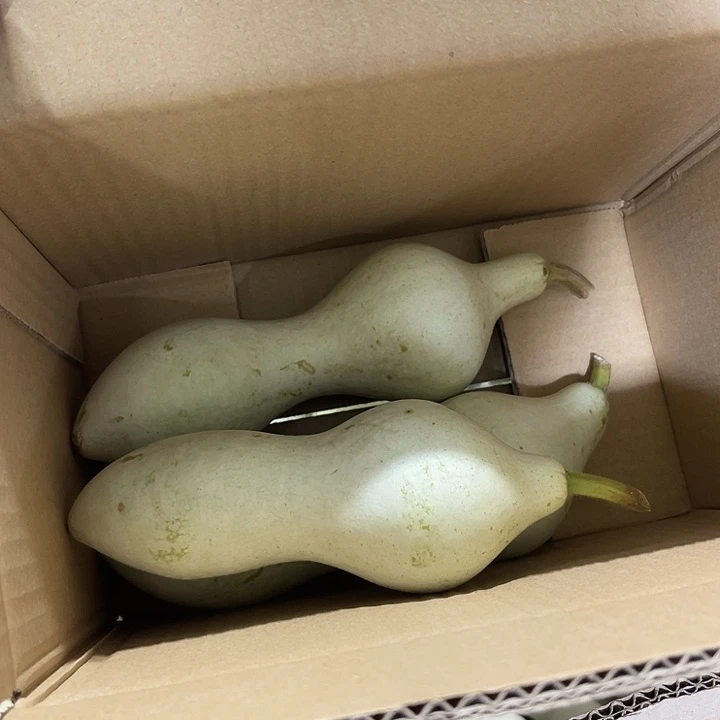 非洲紫檀（红花梨）金**世