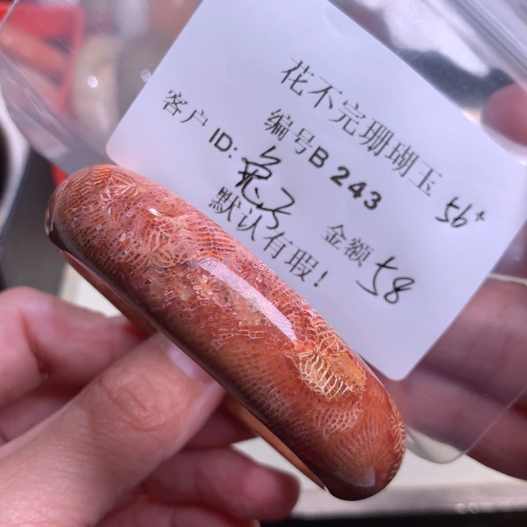 硅化玉颈饰未镶嵌乌****子