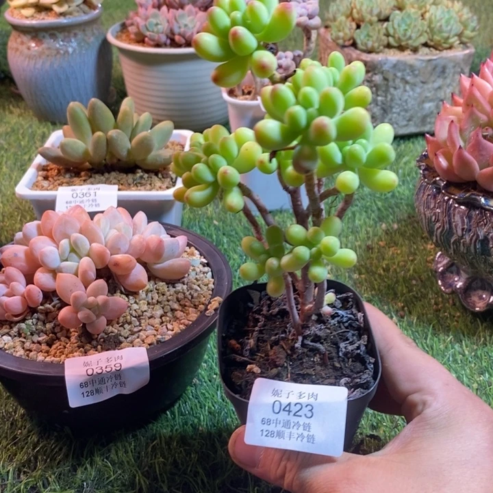 o***o0423啊啊啊啊啊啊啊啊啊啊啊