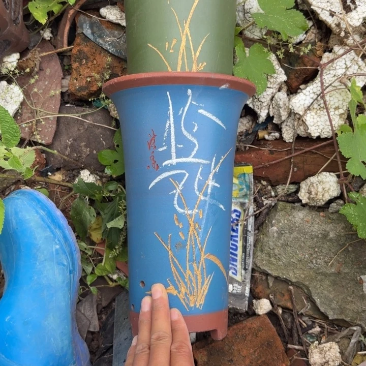 花盆紫砂紫砂的颜色