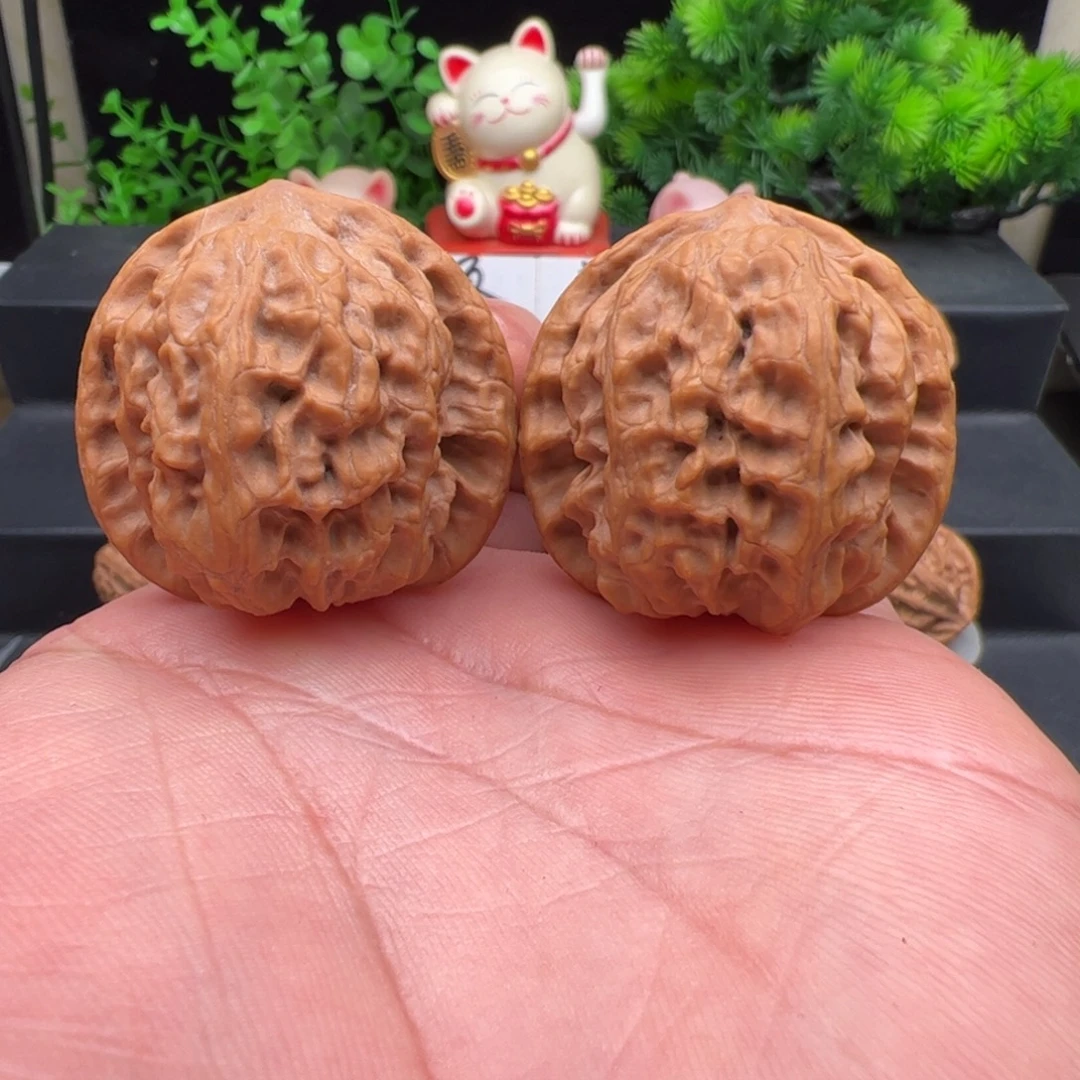 把件文玩核桃野狼，尺寸38