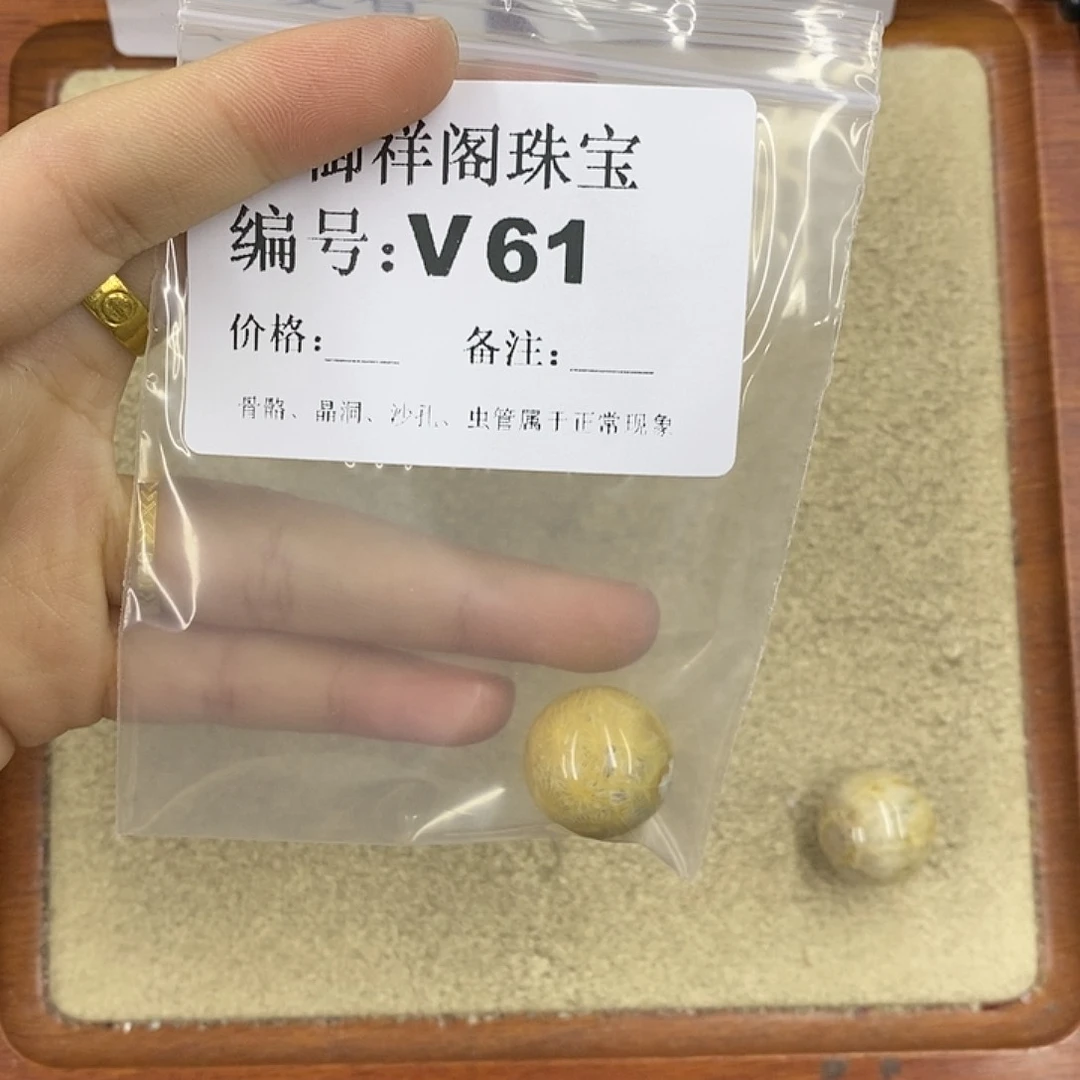 硅化珊瑚（珊瑚玉）颈饰未镶嵌蔚**空