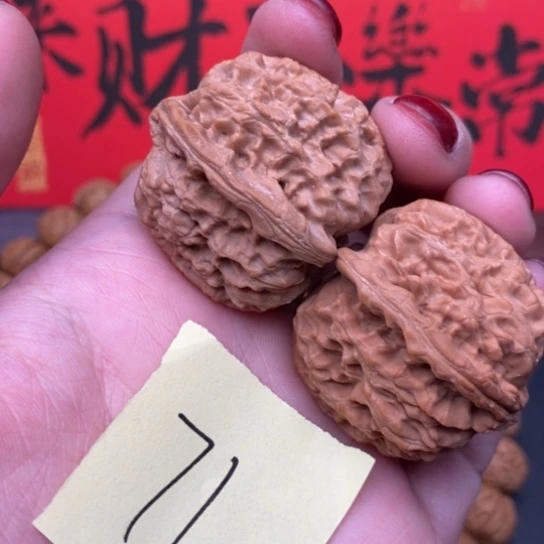 三角白9.9米1111111111