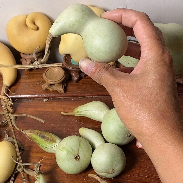 美***嗷青皮葫芦手把件小异型