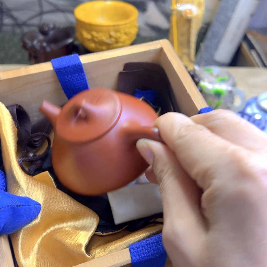 茶宠哈哈哈哈哈哈哈哈哈哈