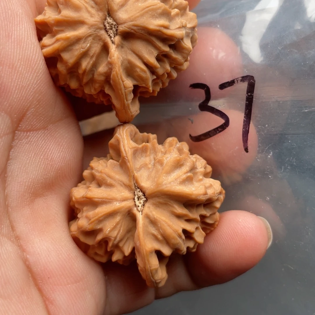 猴头核桃把件龙鳞